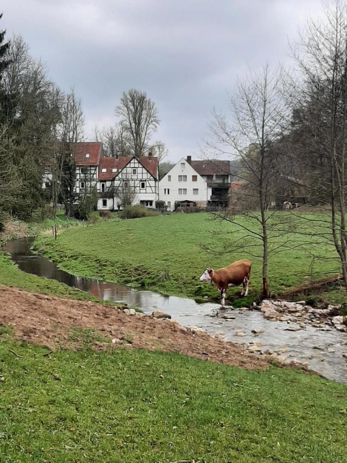 Haus An Der Werbe Apartment Waldeck  Exterior foto